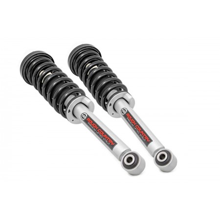 Ford 6in Lifted N3 Struts (09-13 F-150)