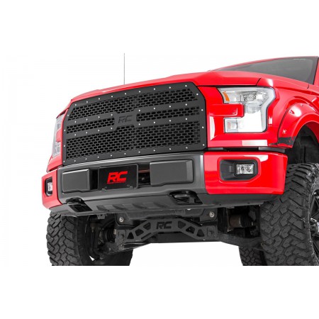 Ford Mesh Grille (15-17 F-150)