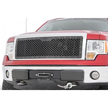 Ford Mesh Grille (09-14 F-150)