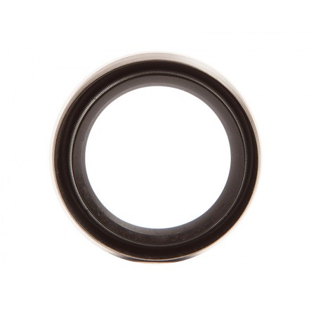 Inner Axle Seal