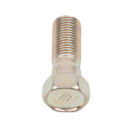 Caliper Bolt